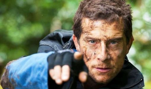 Bear Grylls