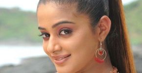 Vidya Balan's cousin Priyamani