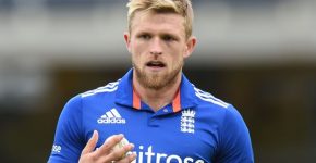 David Willey Profile