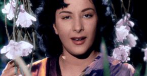 Nargis