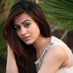 Aksha Pardasany (Actress) Height, Age, Husband, Family, Biography