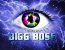 Bigg Boss winners list