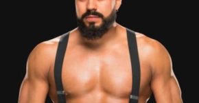 Andrade Cien Almas