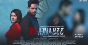 Do Ajnabee