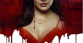 A poster of the series '36 Days' (2024)