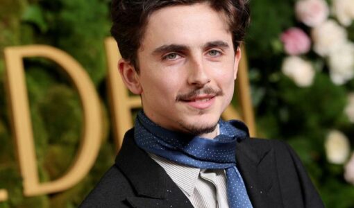 Timothée Chalamet